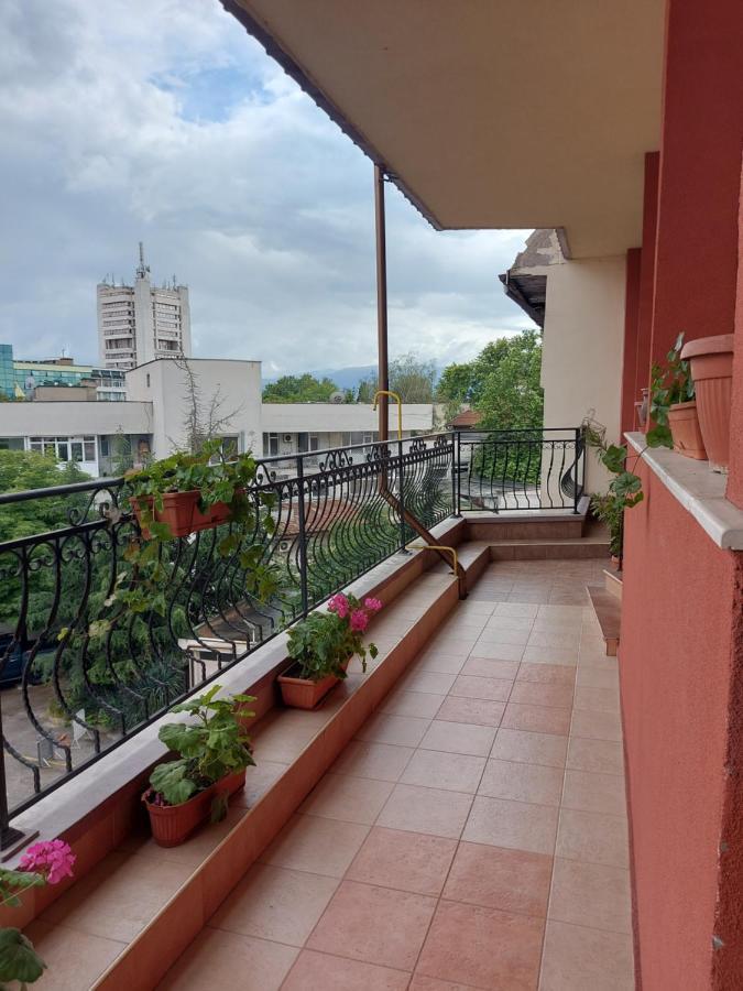 Elegant Complex Ξενοδοχείο Πάζαρτζικ Εξωτερικό φωτογραφία